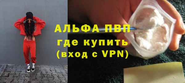 гидра Надым