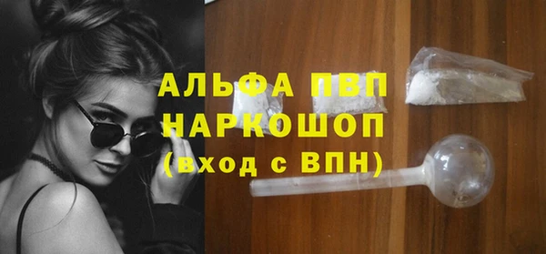 гидра Надым