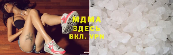 гидра Надым