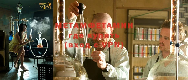 гидра Надым