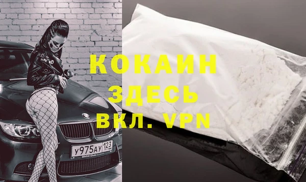 гидра Надым