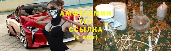 гидра Надым