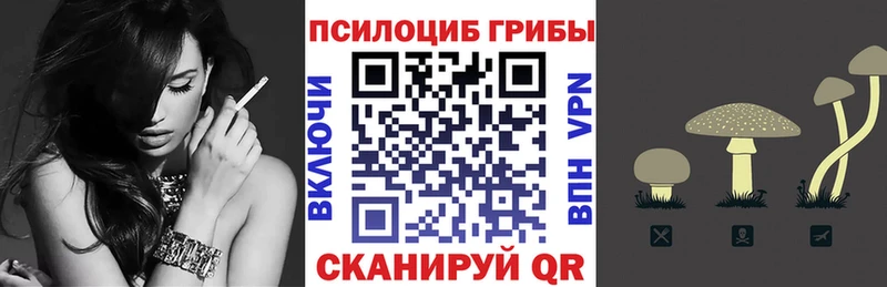 Псилоцибиновые грибы MAGIC MUSHROOMS  Купить закладки  Артём 